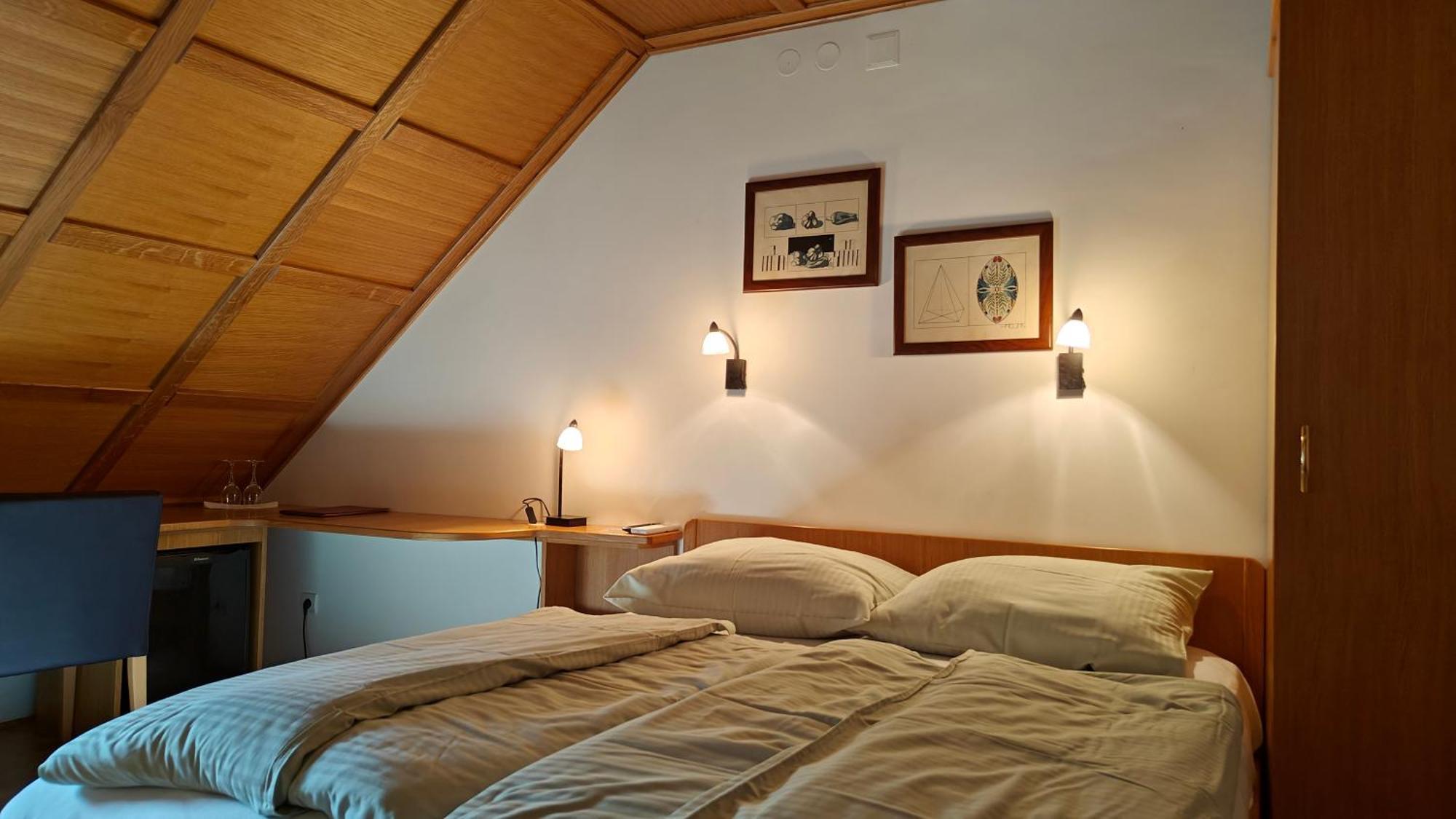 Guesthouse Pri Zalogarju 젤레즈니키 외부 사진